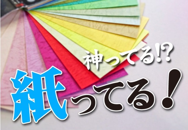 写真は、商品サンプルです
